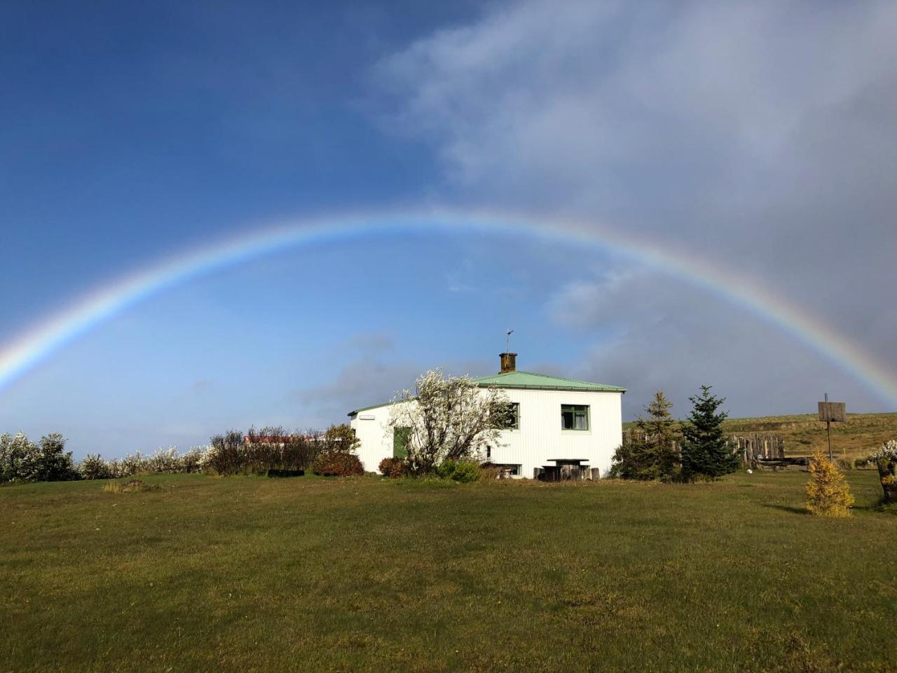 Bessastaðir Guesthouse Hvammstangi Extérieur photo